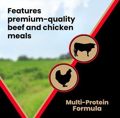 Image showing 5 th Victor High Energy All Life Stages Beef Recipe Dry Dog Food