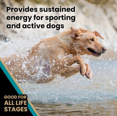 Image showing  Hi-Pro Plus All Life Stages Beef, Chicken, Fish and Pork Recipe Dry Dog Food