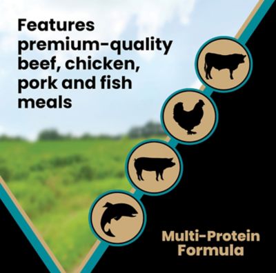 Image showing 5 th Victor Hi-Pro Plus All Life Stages Beef, Chicken, Fish and Pork Recipe Dry Dog Food