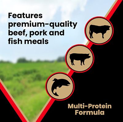 Image showing 5 th Victor All Life Stages Grain-Free Active Beef Recipe Dry Dog Food