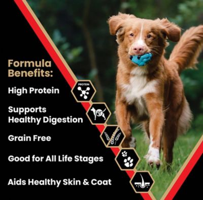 Image showing 1 th Victor All Life Stages Grain-Free Active Beef Recipe Dry Dog Food