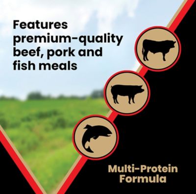 Image showing 5 th Victor All Life Stages Grain-Free Active Beef Recipe Dry Dog Food