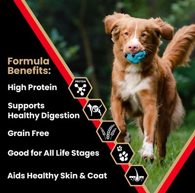 Image showing  All Life Stages Grain-Free Active Beef Recipe Dry Dog Food