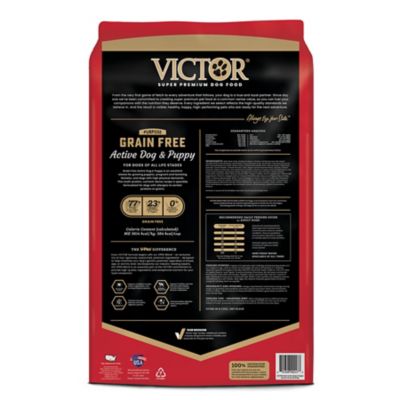 Image showing  All Life Stages Grain-Free Active Beef Recipe Dry Dog Food