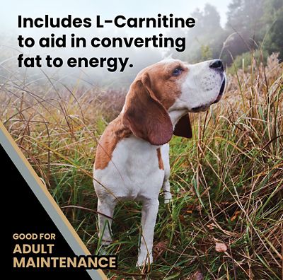 Image showing  Healthy Weight Senior Joint Health Beef Recipe Dry Dog Food