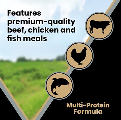 Image showing 5 th Victor Healthy Weight Senior Joint Health Beef Recipe Dry Dog Food