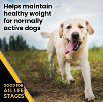 Image showing  Multi-Pro All Life Stages Normally Active Beef Recipe Dry Dog Food