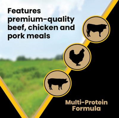 Image showing 5 th Victor Multi-Pro All Life Stages Normally Active Beef Recipe Dry Dog Food