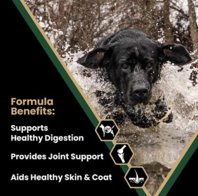 Image showing 1 th Victor Performance Adult Joint Health Beef Recipe Dry Dog Food