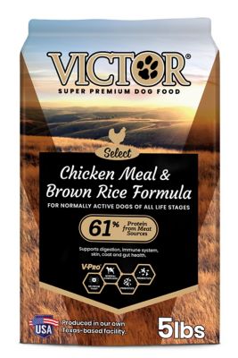 Image showing 0 th Victor Select Chicken Meal and Brown Rice Formula Dry Dog Food