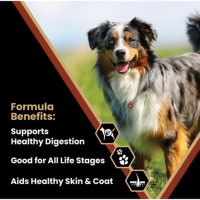 Image showing 1 th Victor Select Chicken Meal and Brown Rice Formula Dry Dog Food