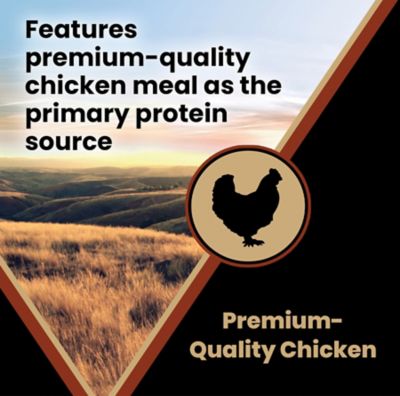 Image showing 5 th Victor Select Chicken Meal and Brown Rice Formula Dry Dog Food