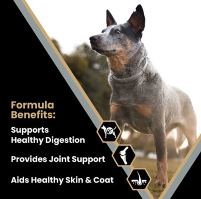 Image showing  Healthy Weight Senior Joint Health Beef Recipe Dry Dog Food