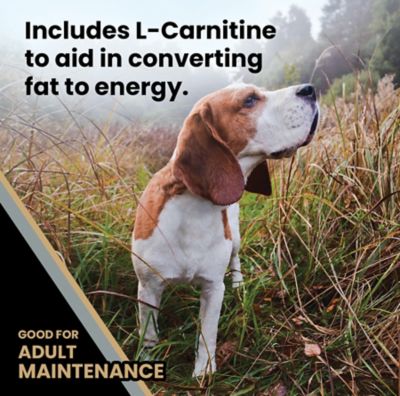 Image showing  Healthy Weight Senior Joint Health Beef Recipe Dry Dog Food