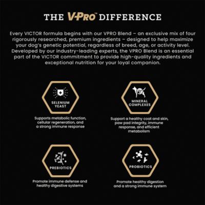 Image showing  Select Lamb Meal and Brown Rice Dry Dog Food