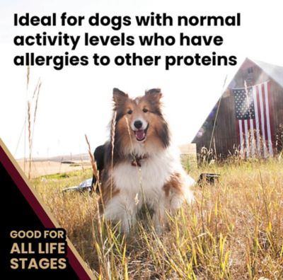 Image showing  Select Lamb Meal and Brown Rice Dry Dog Food