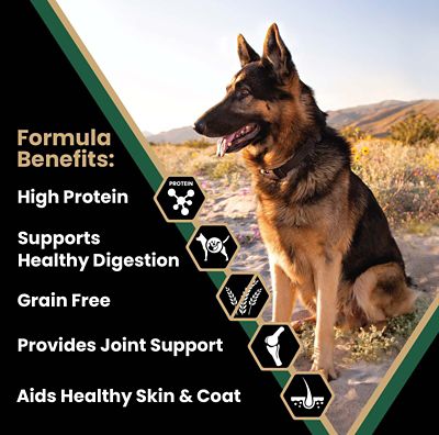 Image showing  Grain Free Hero Dry Dog Food