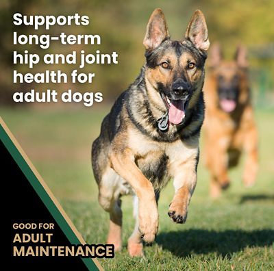 Image showing  Grain Free Hero Dry Dog Food