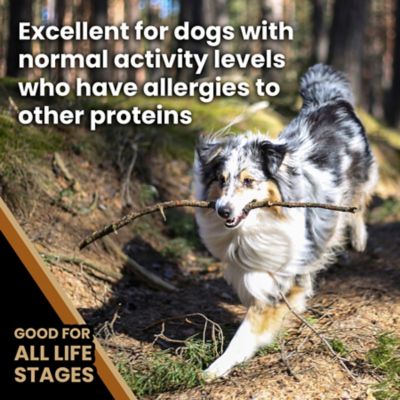 Image showing  Select Grain Free Chicken Meal & Sweet Potato Dry Dog Food