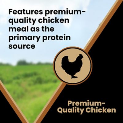 Image showing 5 th Victor Select Grain Free Chicken Meal & Sweet Potato Dry Dog Food