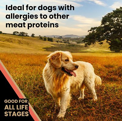 Image showing 3 th Victor All Life Stages Grain-Free Yukon River Canine Fish Recipe Dry Dog Food