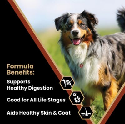 Image showing  Select Chicken Meal and Brown Rice Formula Dry Dog Food