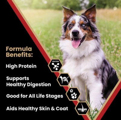 Image showing 1 th Victor Purpose Nutra Pro Dry Dog Food