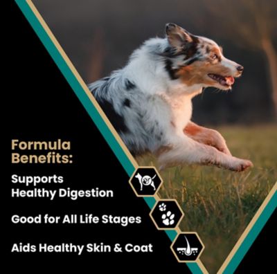 Image showing 1 th Victor All Life Stages Ocean Fish Recipe Dry Dog Food