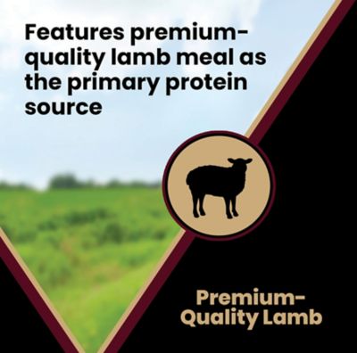 Image showing 5 th Victor Select Lamb Meal and Brown Rice Dry Dog Food