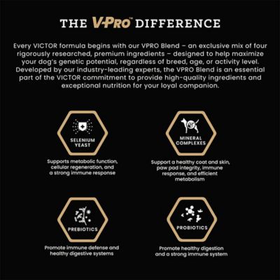 Image showing  All Life Stages Grain-Free Yukon River Canine Fish Recipe Dry Dog Food