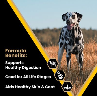 Image showing  Multi-Pro All Life Stages Normally Active Beef Recipe Dry Dog Food