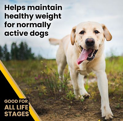 Image showing  Multi-Pro All Life Stages Normally Active Beef Recipe Dry Dog Food