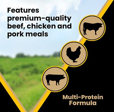 Image showing 5 th Victor Multi-Pro All Life Stages Normally Active Beef Recipe Dry Dog Food