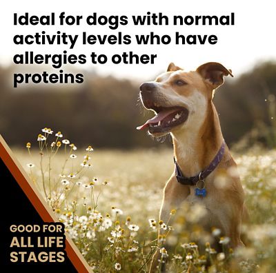 Image showing  Select Chicken Meal and Brown Rice Formula Dry Dog Food