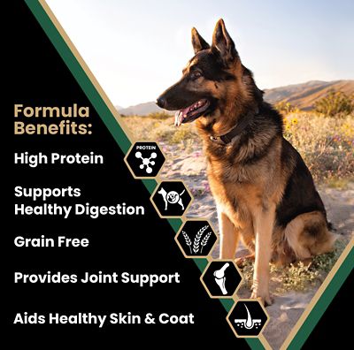 Image showing  Grain Free Hero Dry Dog Food
