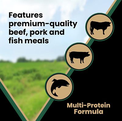 Image showing 5 th Victor Grain Free Hero Dry Dog Food