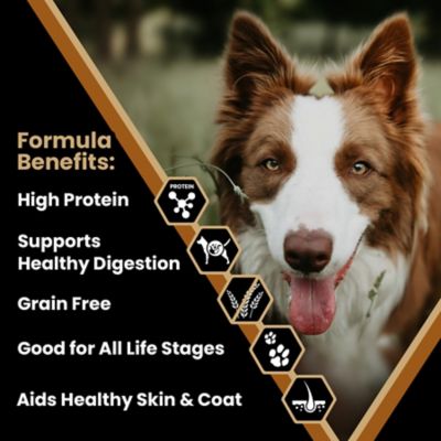 Image showing  Select Grain Free Chicken Meal & Sweet Potato Dry Dog Food