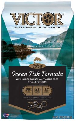 Victor Select Ocean Fish Formula All Life Stage Dry Dog Food at