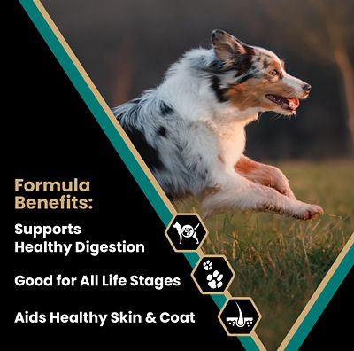 Image showing  All Life Stages Ocean Fish Recipe Dry Dog Food