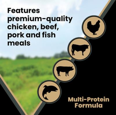 Image showing 5 th Victor Purpose Grain Free Ultra Pro Dry Dog Food