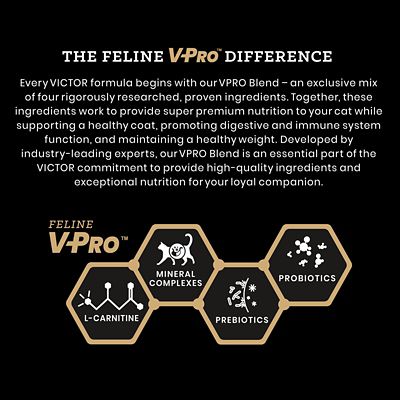 Image showing  Mers Feline Multi-Cat Chicken & Beef Meal Recipe Dry Cat Food