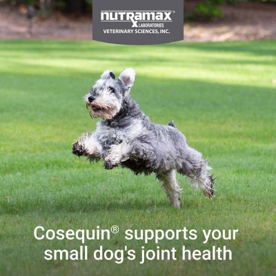 Image showing  Cosequin Minis Joint Health Supplement for Small Dogs, 45 Soft Chews