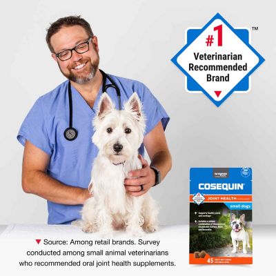 Image showing  Cosequin Minis Joint Health Supplement for Small Dogs, 45 Soft Chews