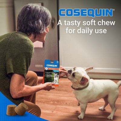 Image showing  Cosequin Minis Joint Health Supplement for Small Dogs, 45 Soft Chews