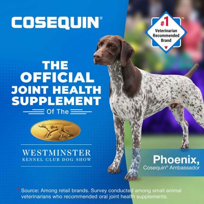 Image showing 5 th Nutramax Laboratories Cosequin Minis Joint Health Supplement for Small Dogs, 45 Soft Chews