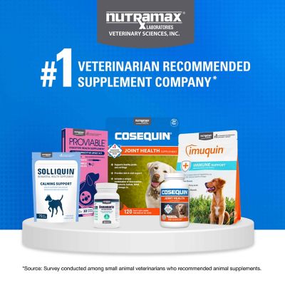 Image showing 8 th Nutramax Laboratories Cosequin Minis Joint Health Supplement for Small Dogs, 45 Soft Chews