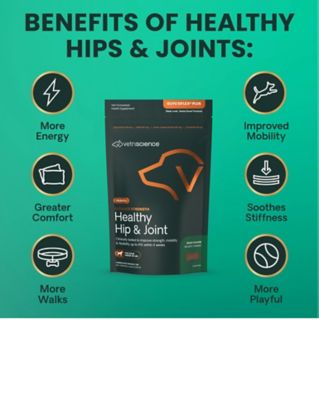 VetriScience GlycoFlex Plus Small Breed Joint Support Bite-Sized Dog Chews