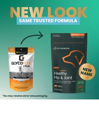 Image showing  GlycoFlex Plus Small Breed Joint Support Bite-Sized Dog Chews