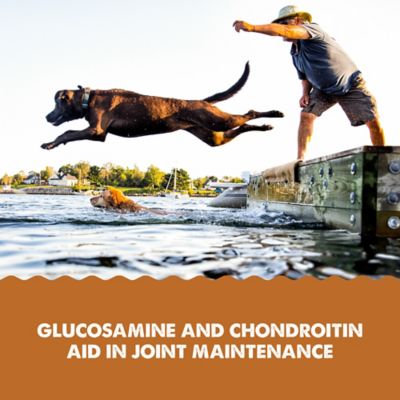 Image showing  Joint Aid Liquid Supplement for Dogs, 16 oz.
