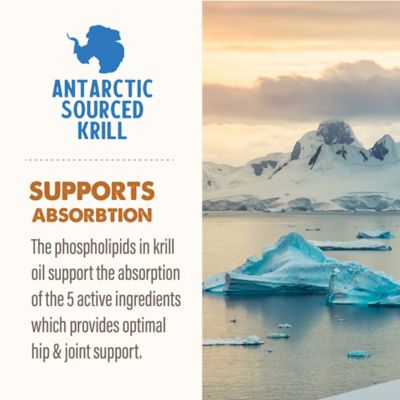 Image showing  Joint Aid Liquid Supplement for Dogs, 16 oz.